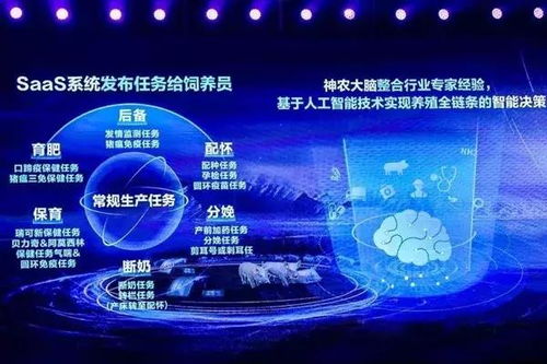 当互联网巨头“跨界”养猪 科技赋能下的产业变革与深层逻辑