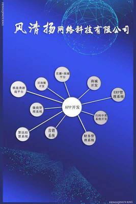 永康全网推广软件开发的费用价格